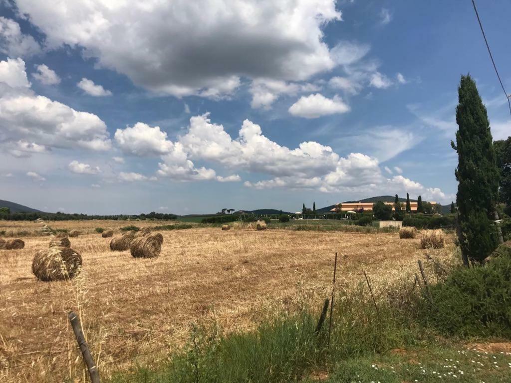 Agriturismo Colle D' Oro Пеша-Романа Екстер'єр фото